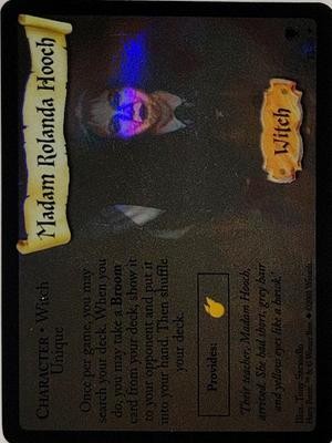 Madam Rolanda Hooch (Holo) Ungraded HP: Quidditch Cup