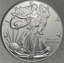 1oz Silver Eagle (silver Plate) Great Gift For Kids Or Beginning Collectors.