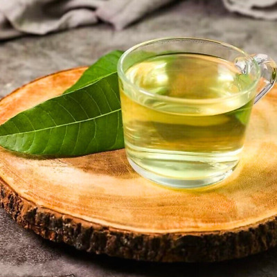 Mango Dried Leaves Leaf Natural ORGANIC 100% Herbal Fresh Quality 500 Leaves
