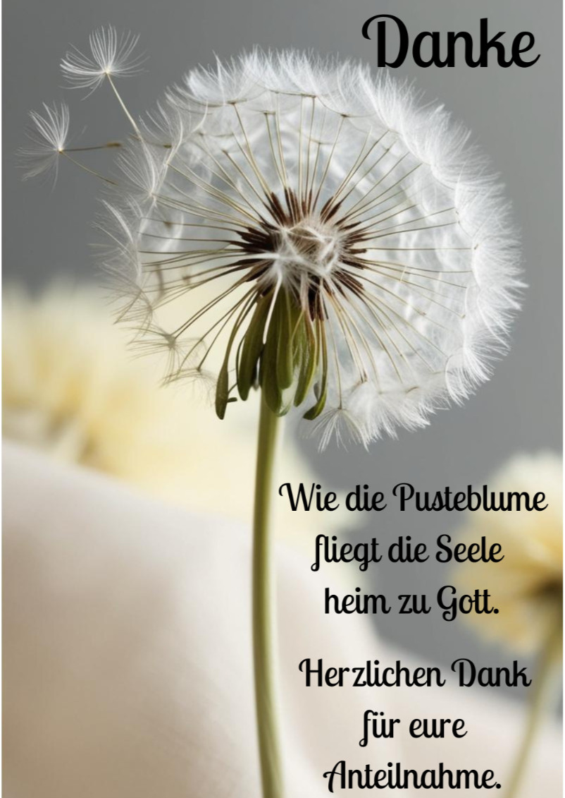 10 Trauer Dankeskarten Din A5- Danksagungskarten mit Umschlag Pusteblume Spruch