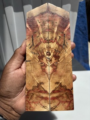Jumbo Stabilized Splayed Box Elder Book Matched Burl Scales/ Thick Live Edge