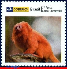 3258-10 BRAZIL 2013 GOLDEN LION TAMARIN, MONKEY, FAUNA, RHM C-3310, MNH