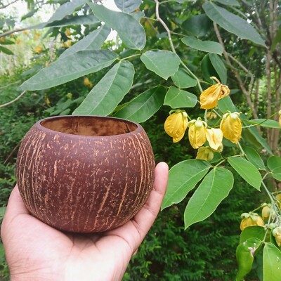 100% Natural Organic Coconut Shell bowl Handmade food bowl flower plot fast ship