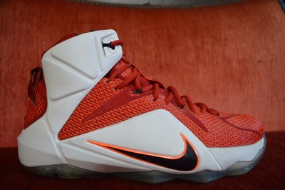 jordan lebron 12