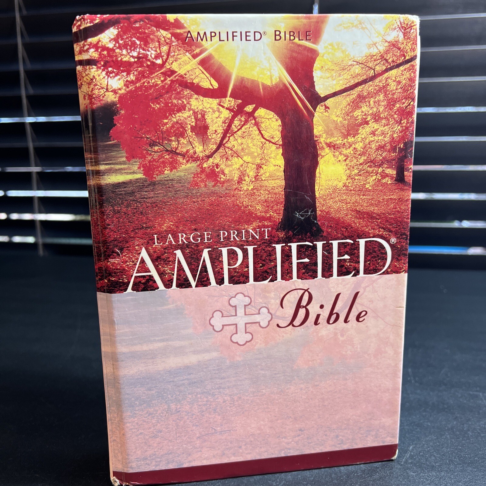 Large Print Amplified Bible Zondervan & Lockman 1987 Hardcover eBay