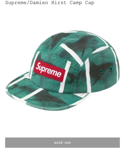 Casquette de camp Supreme Damien Hirst Shark vert blanc SS25 livraison rapide et gratuite ?