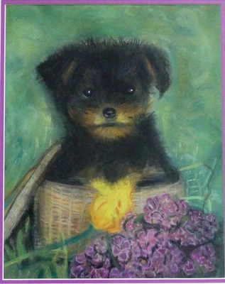 Pastel Tableau Animal Le petit chien adorable chiot très bien encadré - Photo 1/4