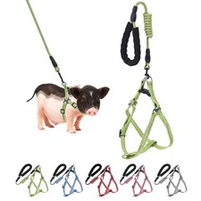 Mini Pig Harness, Adjustable Small Harness with Leash Infinity S, Green