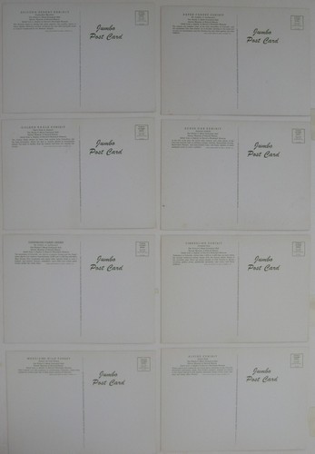 8 Denver Museum JUMBO POSTCARDS 1956 Ansco Color Photos Scenery Wildlife Murphy - Picture 2 of 6