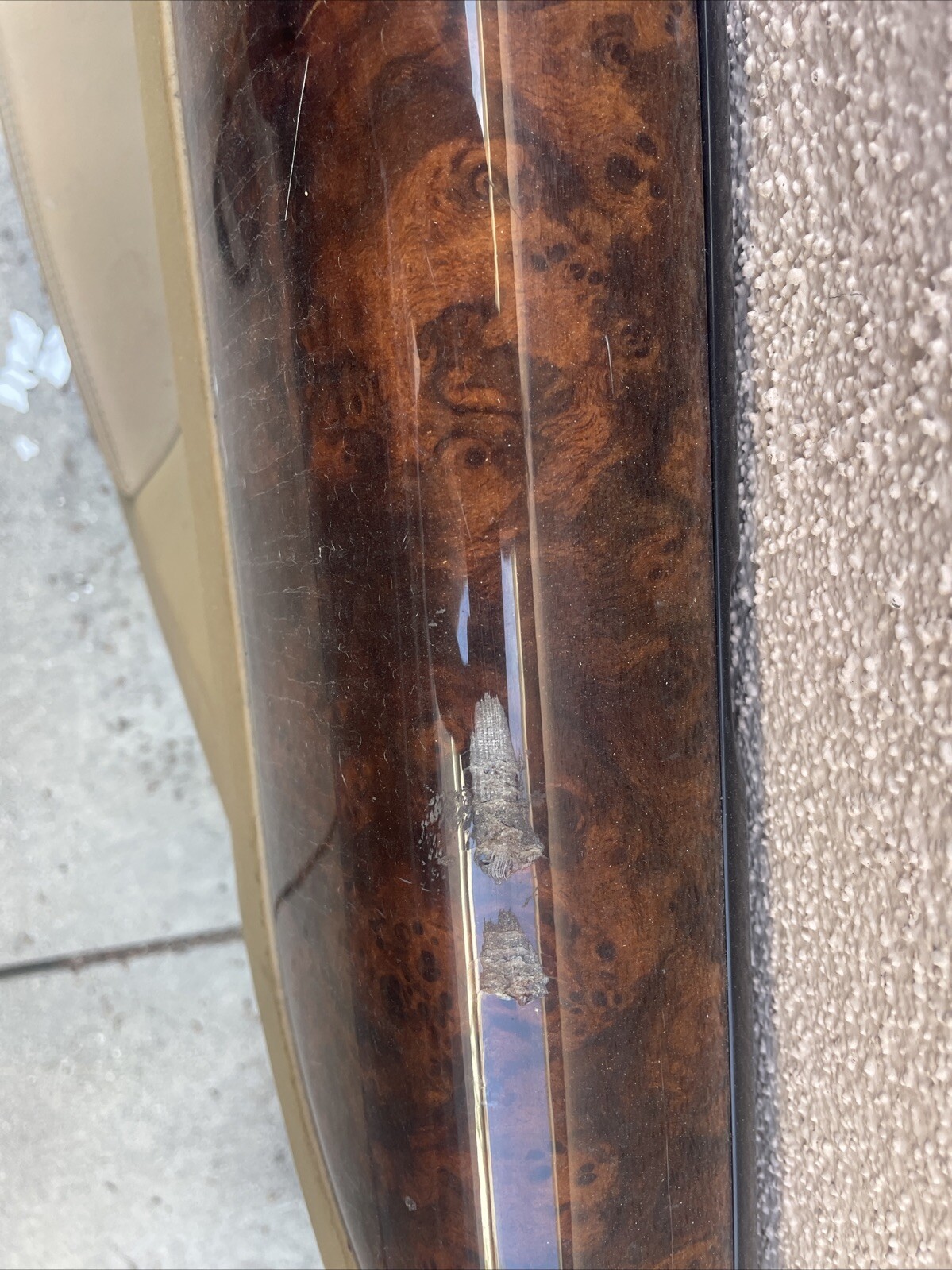 2006 Bentley Continental Flying Spur Right Rear Passenger Door Panel