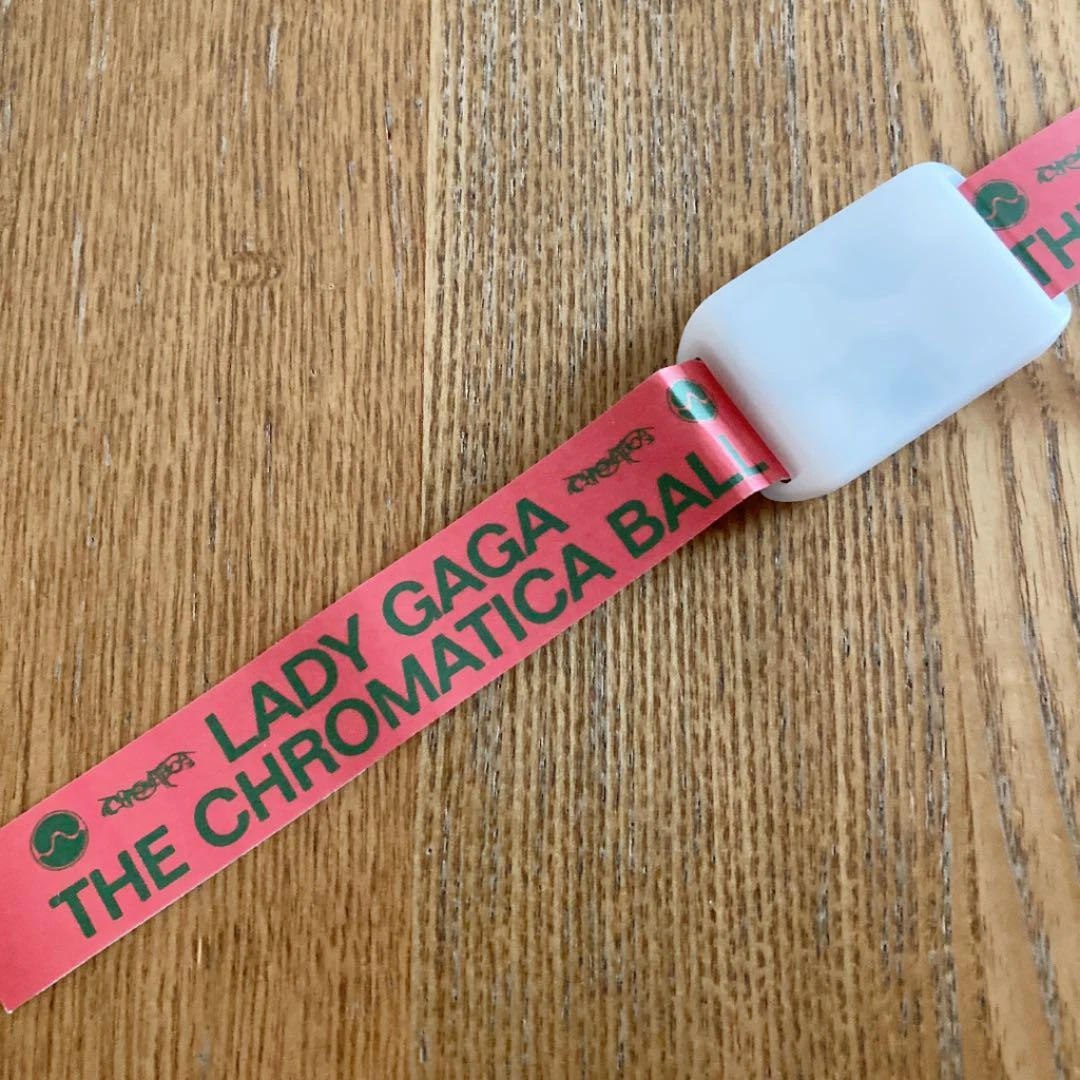 Chromatica bracelet 2024