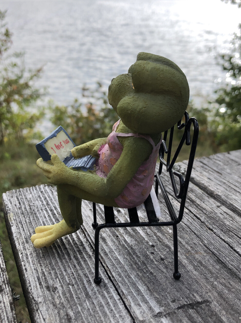 MayRich Company Decorative Frog Sitting Computer I Love You Internet ...