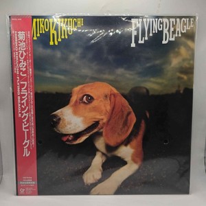 Flying Beagle | eBay