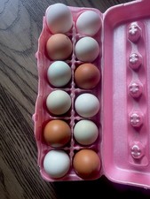 12 Chicken RAINBOW Assortment: Hatching Eggs