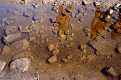 Foto 6x4 zum Scheitern verurteilter Fisch Grinton It's zwei Wochen seit einem bedeutenden Flo c2009