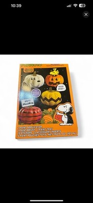 Pumpkin Masters PEANUTS Mini Pumpkin Painting And Decorating Kit NEW