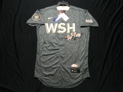 Authentic Washington Nationals Elite Flex Base City Connect Jersey