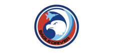 4" military eagle driver bumper sticker decal usa made
