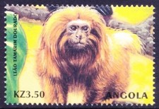 Angola 2000 MNH, Golden Lion Tamarin, Wild Animals