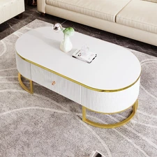 Modern Oval Coffee Table Center Cocktail Table with 2 Drawer for Living Room