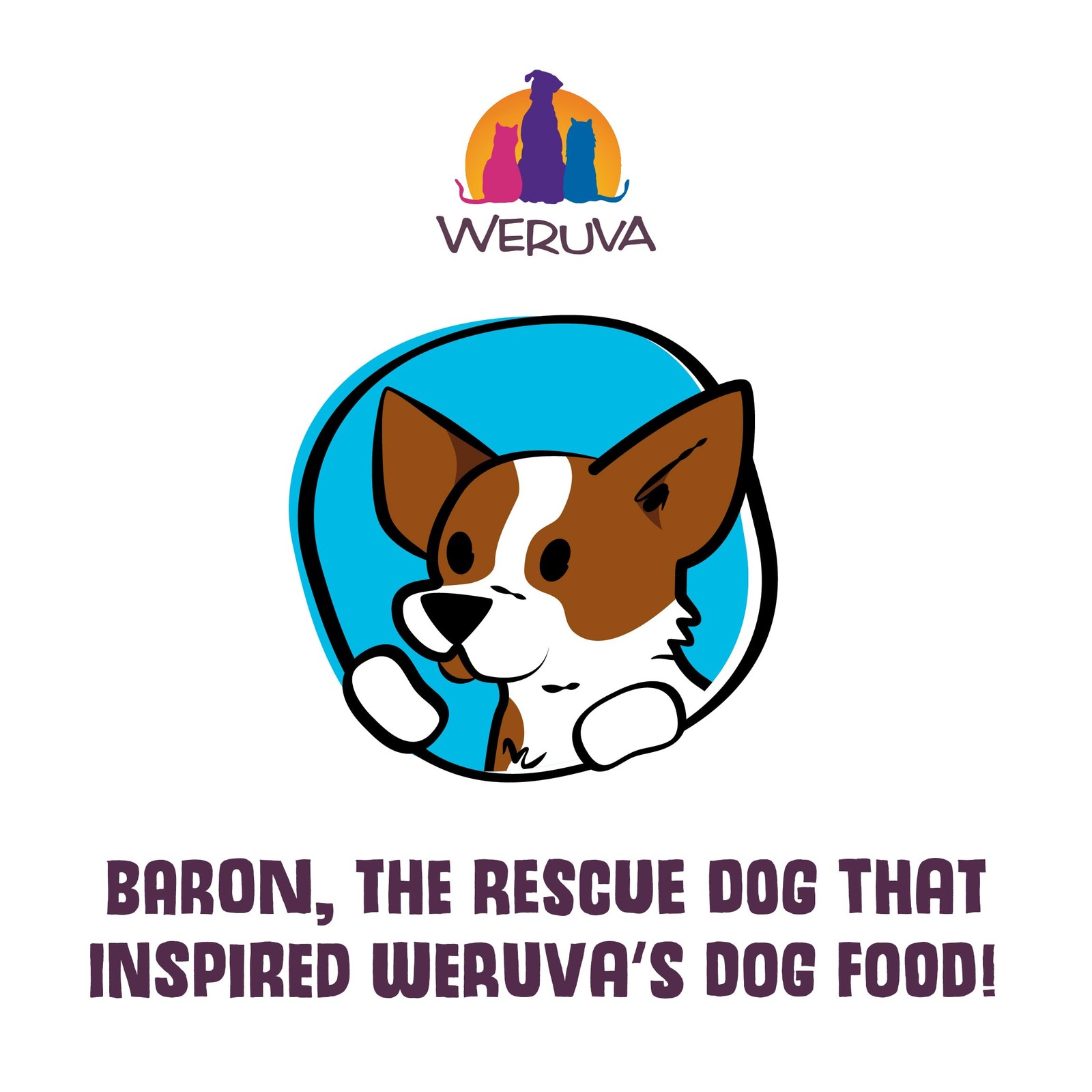 Weruva Classic Dog Food, Paw Lickin&rsquo; Chicken with Chicken Breast in Gravy, 14...
