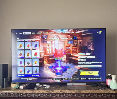 Epic Games Fortnite In-Game Item/Locker Screen Photo TV Display PS5 Xbox PC