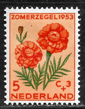 HICK GIRL-MINT NETHERLANDS STAMP   SC#B250  1953  FLOWER ISSUE   C783