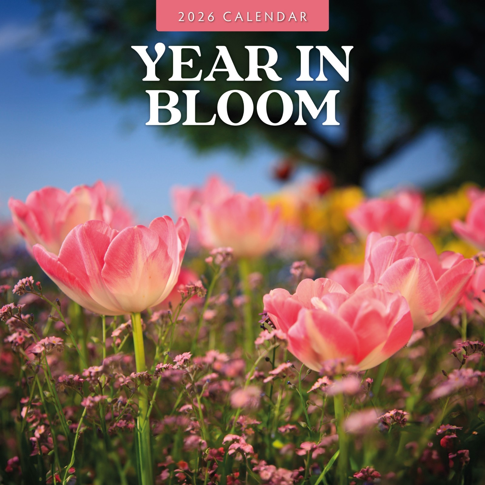 Year in Bloom 2026 Square Wall Calendar