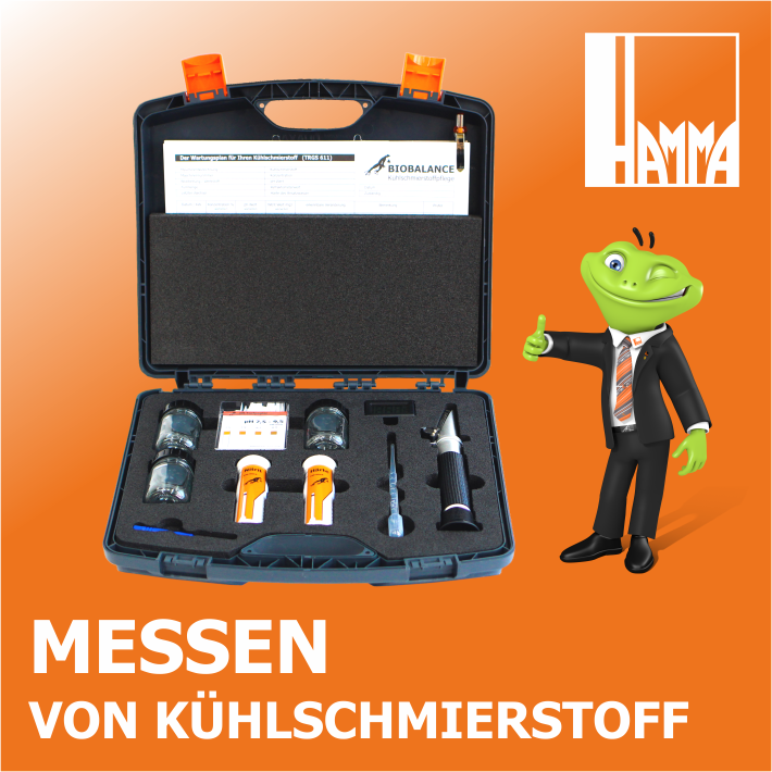 Bild 6 von 13