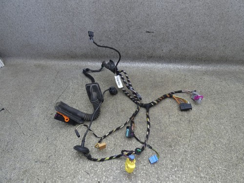 Kabelbaum Tür VL vorne links 5N1971120F 165Tkm VW Tiguan 5N 2.0 TSI 10.1806.113