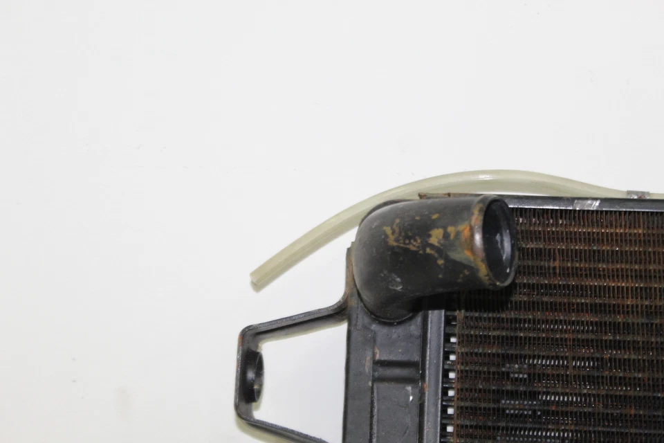 RADIATORE ACQUA MOTORE PER FIAT 1100 103 H D 1200 ORIGINALE - Изображение 4 из 4