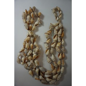 Hanging Seashells Pot Holder Shells on a string