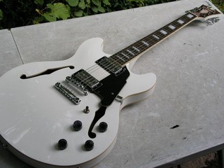 sehr schöne Gitarre D Angelico New York Premier E Gitarre PSDCSPWH