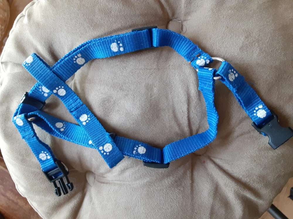 dog harness for S/M dog