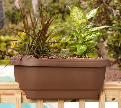 round plant pot Planet Desert