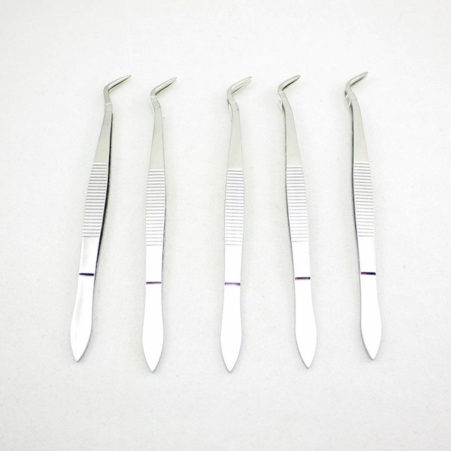 NEW 5 Pcs Dental Tweezers Instruments Lab Equipment Stainless Steel eBay