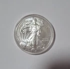 2010 $1 American Eagle 1 oz Silver Dollar Coin Walking Liberty Ungraded