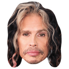 Steven Tyler (Goatee) Big Head. Larger than life mask.