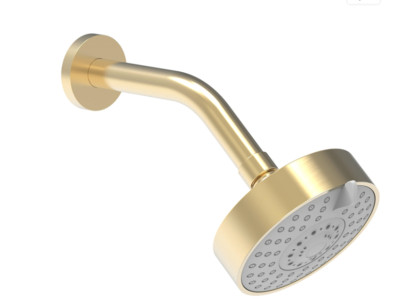 Phylrich Asteri ASTK837/004 4 1/2'' Wall Mount Showerhead and Arm SATIN BRASS New