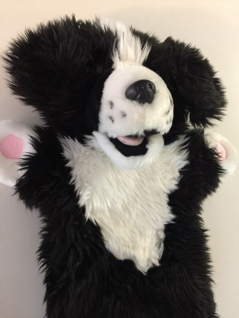 border collie puppet