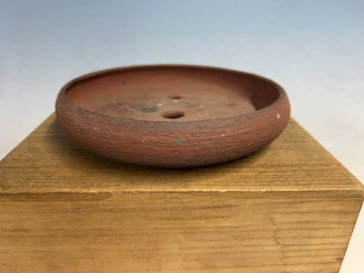 UnGlazed Shohin Size European Bonsai Tree Pot By Wallsall Studios 8 1/8 |  eBay
