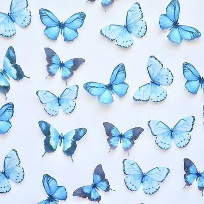 Edible Pre-Cut Wafer Butterfly - Dark Blue | eBay