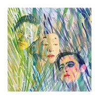 Bamboo - Dragon Flies Away - Vinyl Record - F600Z