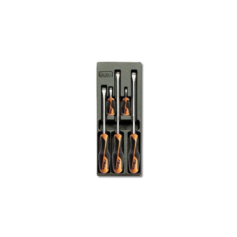 TERMOFORMATO CON 5 UTENSILI ART. T201   