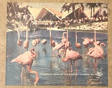 Original 1963 BUDWEISER BEER sign translucent NOS replacement panel Flamingos