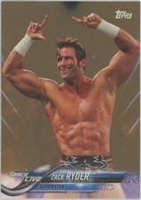 2018 Topps WWE Zack Ryder Bronze Parallel Matt Cardona #99