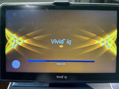 Vivid Iq Premium 4D