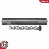 Esen SKV Nockenwelle 80SKV033 FüR VW Passat B5 3B3 Variant 3B6 3B5 3B2 TDI Audi