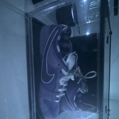 Nike SB Dunk Low Purple lobster 