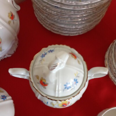 Vtg Schirnding Bavaria Porcelain Germany Multicolor Floral Complet